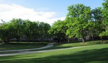 大学校园优美句子