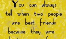 关于友情的英语格言