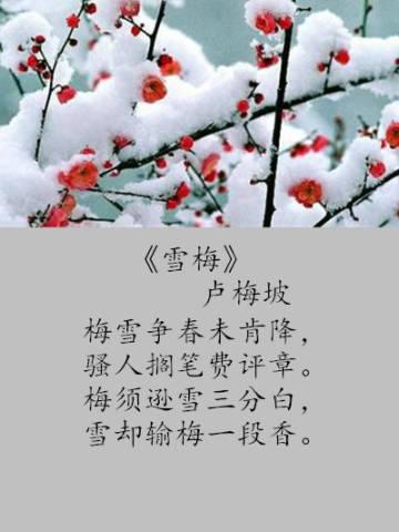    1、12月15日晚上 作者：袁玫 变得富有暗黑着急