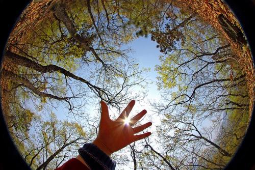 为了赞美而练习