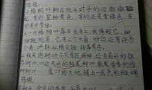 读书好词好句大全