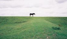 一句话经典心情语录：你不需要鸡汤，你需要巴掌