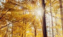 2018经典短语句句入心