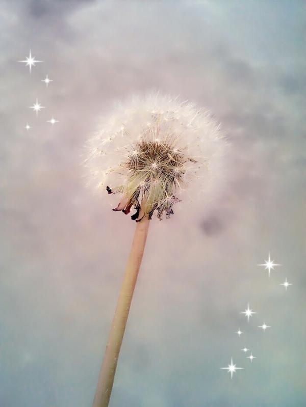 时间可以淡化疤痕