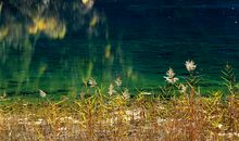 不要处处为难别人的说说