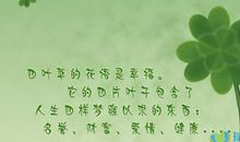 幸福优美的句子