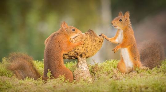 幸福和快乐总是导致结果