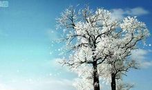 内心忧伤的语录 让人忧伤的句子