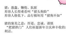 关于动物的英语名言