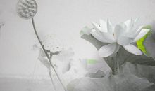 关于记录心情的句子