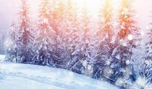 描写冬天太阳的好段