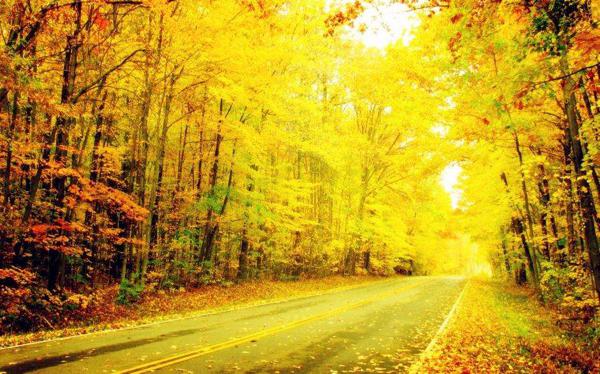 与数以千计的客户会面