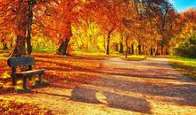 情侣工作问候短信