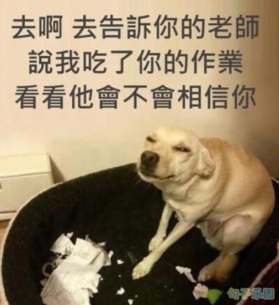 我喜欢穿网袜的女孩