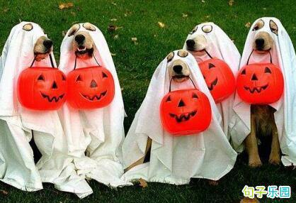 大量有趣的句子与万圣节有关