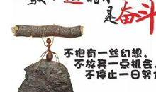 比较正能量的句子