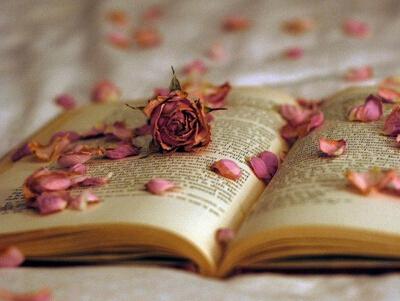 您可以用一杯水烧死我