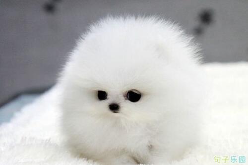 如果可爱真的是有罪的