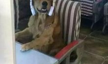 微信搞笑短语,微信说说搞笑短句