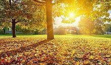 有关校园的比喻句