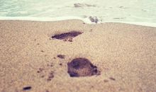 形容心情非常兴奋的句子