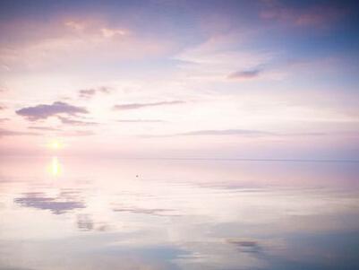 那些使我歇斯底里的人