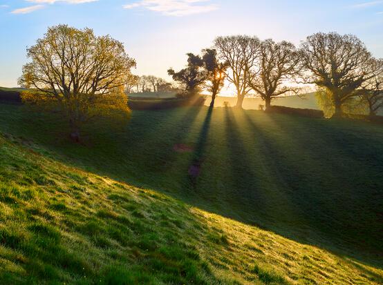 低度吸烟和无尽疲惫