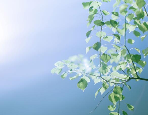   说服人们保持良好的心情1   1