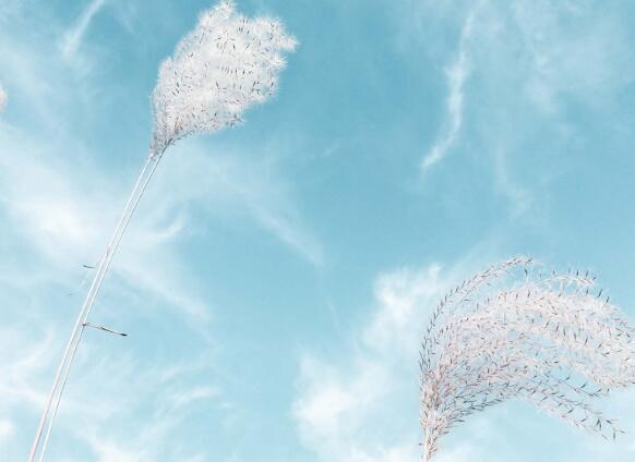   祝福一个人的情绪句子  1）外出时不要忘记带钥匙