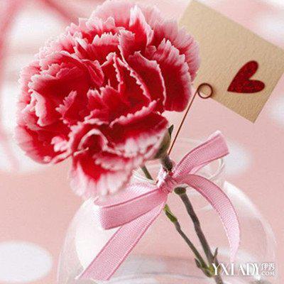 感谢您对生活的理解