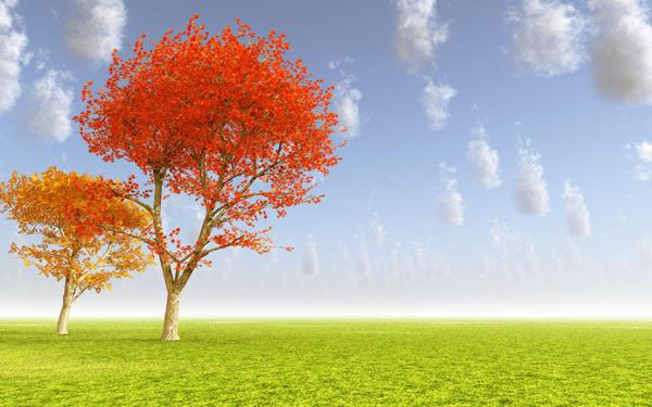 您居住的城市正在下雨