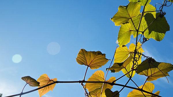 我想问一下你是否有雨伞