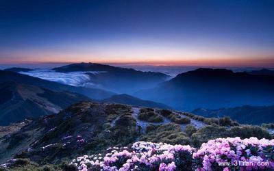 我错过了这一切