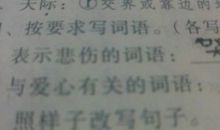 有关爱心的好句