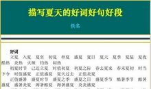 描写夏天的好段50字