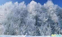 死心的句子说说心情 彻底失望和死心的说说