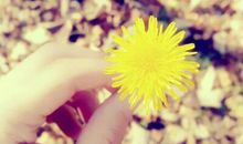 正能量励志经典语录大全