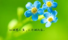 唯美优美积极向上的句子摘抄