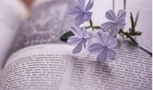 心碎安慰幽默的句子心情