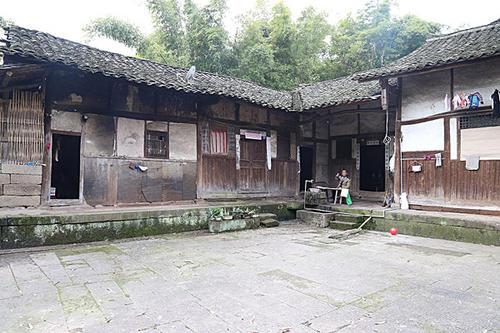 在绿草如茵的道路上