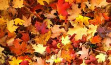 现实心烦的句子说说心情