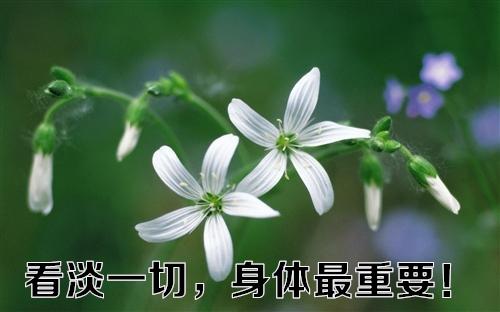 人们在这一辈子中