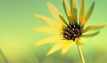 关于成长感恩的句子