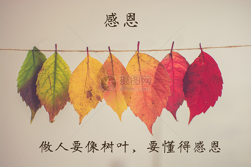 我忍不住在树枝的头发上尖叫