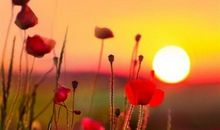 一辈子很短开心过每一天的说说