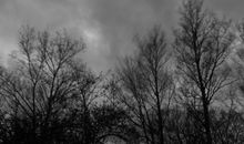 关于大风的优美句子 关于描写刮大风的句子