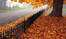 描写秋季伤感的句子