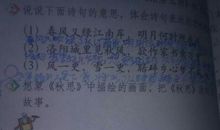 抒发思乡情怀的诗句