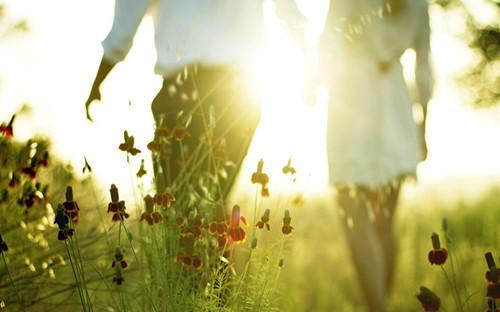 您是剧中的女主角