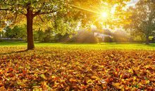 中午好温馨问候短信